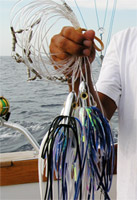 Iland Ilander HF Trolling Lures - Rok Max